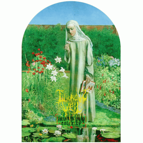 Luminous Veil : Neuroklesis​.​entelechy